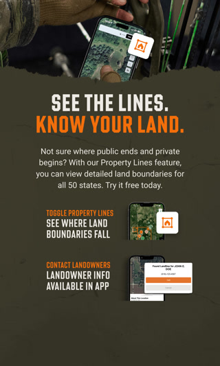 Creative: 223075e1c95718fdbb3cf7b5dc567146