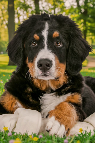 Creative: 22b2b14dc0f82277463d8ba02e3344ba