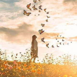 25720f984b938d9ba7cb1084843de111