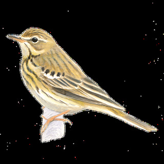 263dfb60f806735bfcd1fc6c78aa619a