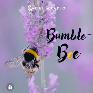 Creative: 26e30e1bafffe5b6007d4823f6994db4