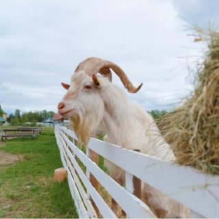 Creative: 27393c22f575f3f3d196a313a0b54a73