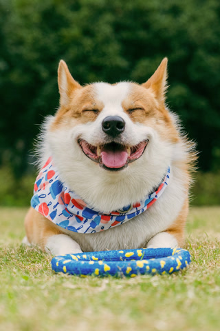 Creative: 27ba0a454c3a87c20b18472b0f1c7a2e