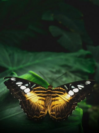 Creative: 280bd1089d788289575be388868a3b85