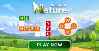 Creative: 29611fbfaed93baf79f9ee395c7f145a