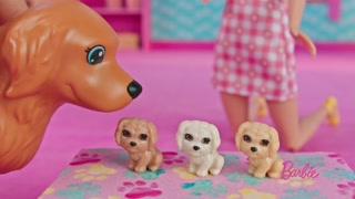 Creative: 2a816ccf75004d2a3f9018e6c27edd47