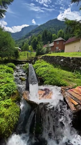 2cc98747096e347b9ec3125aa54b5c52