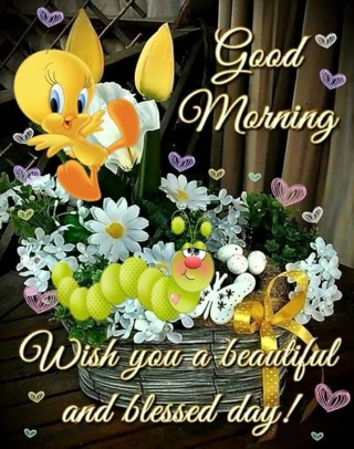 2cf057e221b6fdd6806595fa31fcb6f1