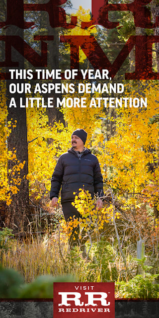 Creative: 2d07f42d1bba539c2e25fe6b9a7d1364