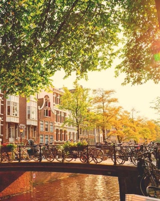 Creative: 2d65516e4e2977d18d32183d8ff69cdd