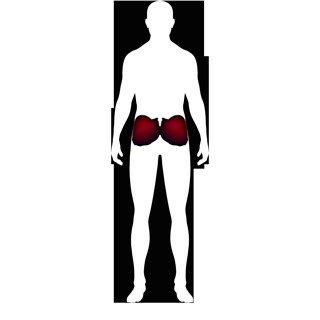 Creative: 2dac5abdee801670589ad1bcc1d0a770