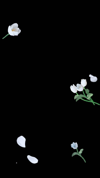 2e0ac93ebcfe1526115ab5dcebe334fb