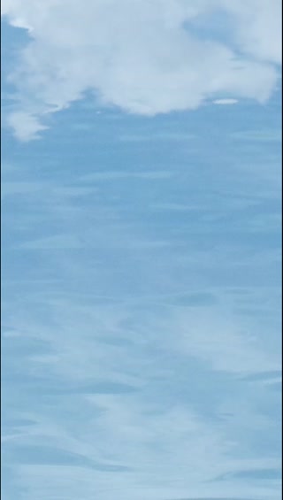 2f54557b570c226e74bacfc9502bcba1