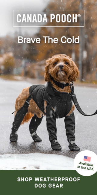 306c28c02c7ecc6186bc594ceb74869a