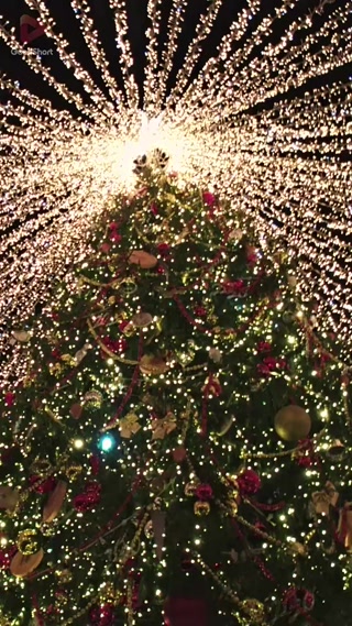 Creative: 30e6842586da33bc768dd75b8588e67a