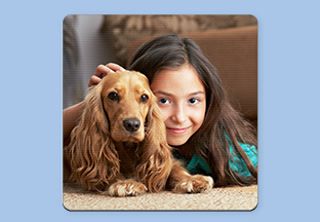 310f7ab78bf4072c1063b9661cd60660