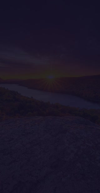 Creative: 315f8a2dfad88a5e1a5d6690a7199c77