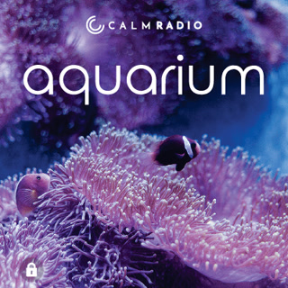 Creative: 319f97bc52d0af9d551e8e6e37ea0b0e