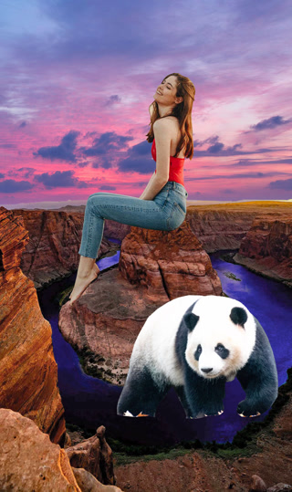 31b346c73640e97a7b01df9ae4762c82