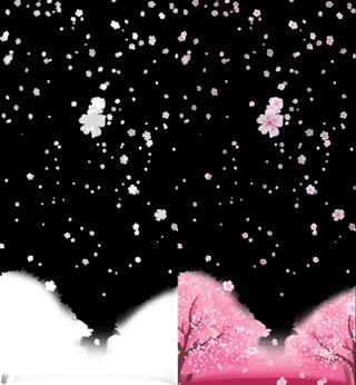 Creative: 32716a6eaf003b64449001ec8d56a357