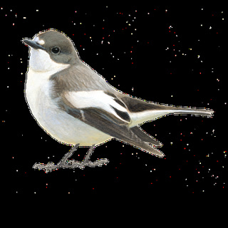 3289c4e888f8428095213c86a45b5980