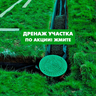 Creative: 32a1ab2108645f41eea14c2b2d29fd24