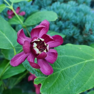 Creative: 33453e20c70b85d55560aae73bfc29be