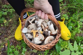 33af41e811c0ac953a3813a3724b3c96