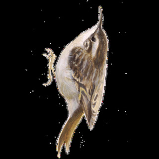 34d5fbacc651708baffb29259ebf1cd5