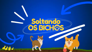 Creative: 35ba35320e91ec20550bec08ec2ea34a