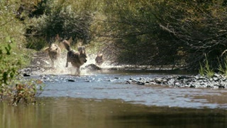 Creative: 35e55c4a5f602e5989808d7d728451ea