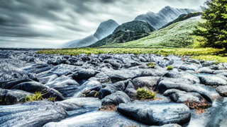 3758ede14be52518d951f1246ed36896