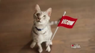 Creative: 387be42022772428b80f9309b845b179