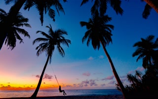 Creative: 38c154a7c71731b961bc015f65ed8de3