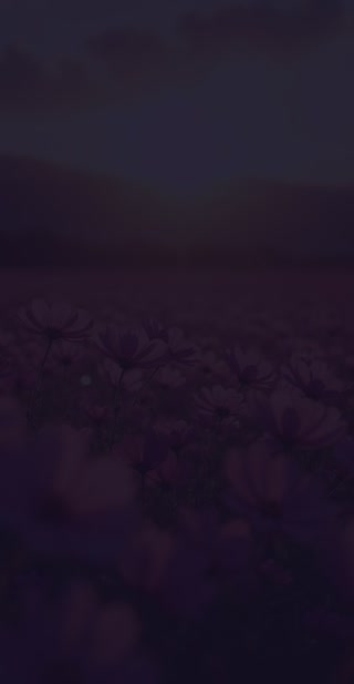 Creative: 38e433ae23adb3a9f5c3f4cf0455a643