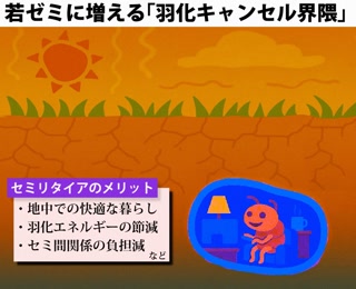 3937a14edfb561c89e054623d562d474