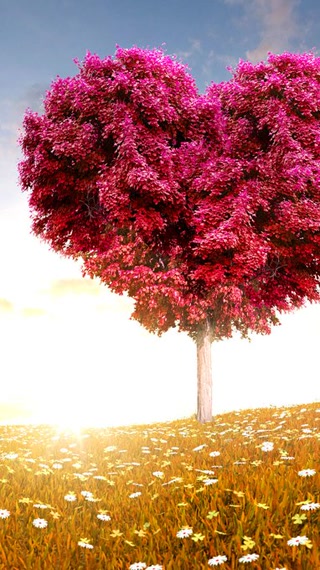 Creative: 395770318fafdb2f78900d107e078d8d
