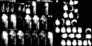 Creative: 3982e603e7c4fc6c20a3ee4aa28e2ceb