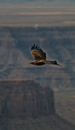 39c9824b0b07b7a68d9e07ec17f7d35d