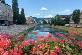 Creative: 39cbdf038fb90473852e193a98d2739c