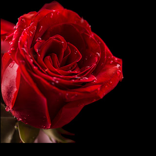 Creative: 3af500d5af29a42df29b2a13f31c54c1