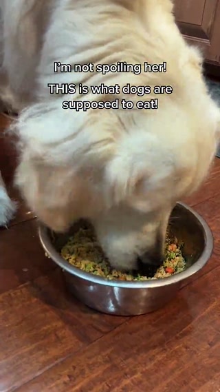 Creative: 3dcbcac34b552eb589583f46e6907106