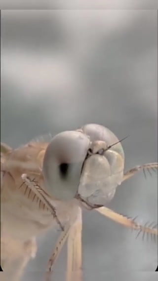 Creative: 3e005b0dd72b76ed2cc59879a4218aac