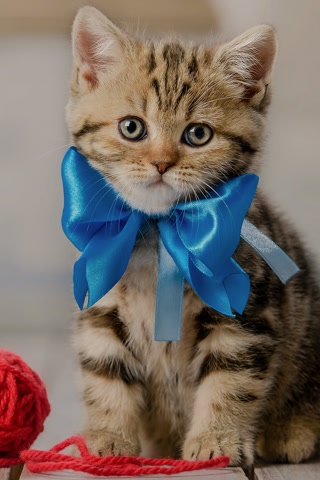 Creative: 3e819e58ad2781a0fb318be6e18ae316