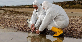 Creative: 3ee9e9e2db1e802dd1e8d78f1ac0c509