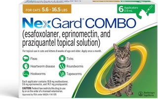 Creative: 3f142a1622f9f4376234dac57b786d66