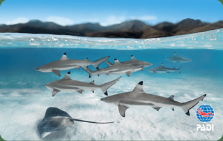 4016281e478860eaada0ee925cce0e8a