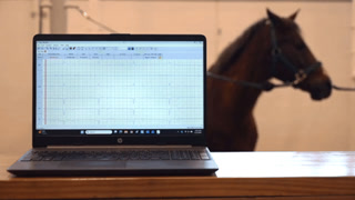 Creative: 41ae3b5ea5c8e534a614e59027df5481