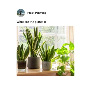 Creative thumbnail for 420d41086a3218bc237f0cbbe5bfa849