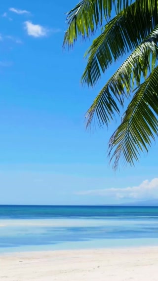 Creative: 421f5387c452b2cf3b8b062dff065494